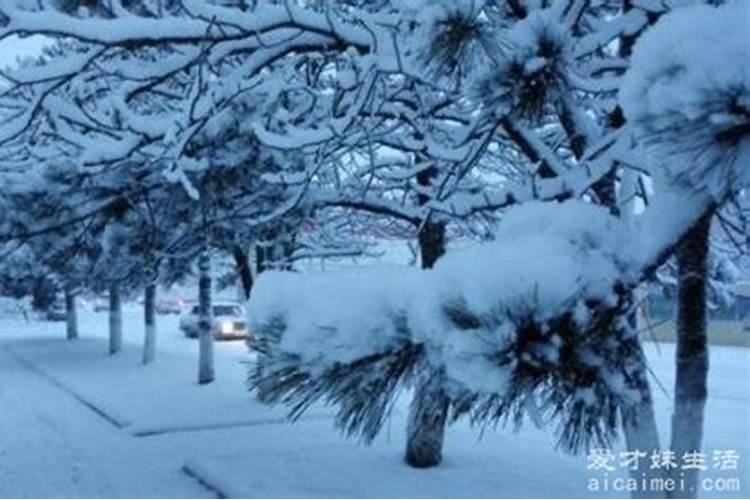 梦见下雪预示着什么征兆