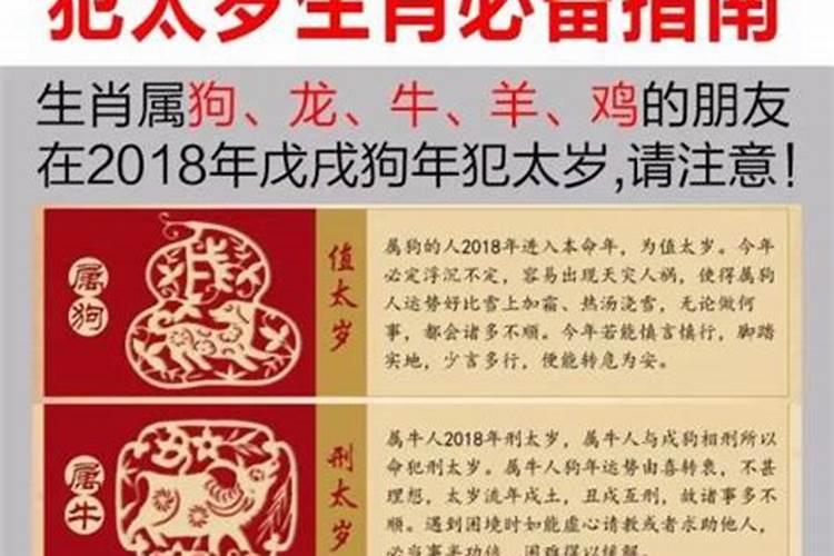 兔和猴的2023年的运程婚姻