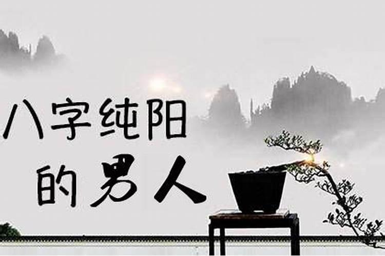 纯阳八字有哪些