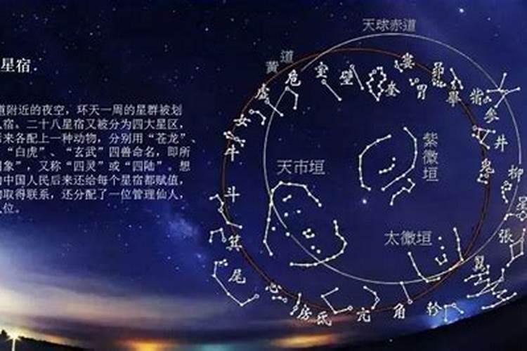 八字怎么看星