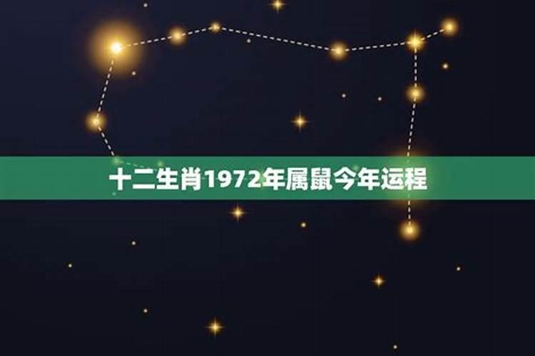 1972年的2023年的运势