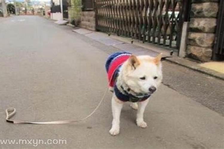 清明节日期是什么是几月几日