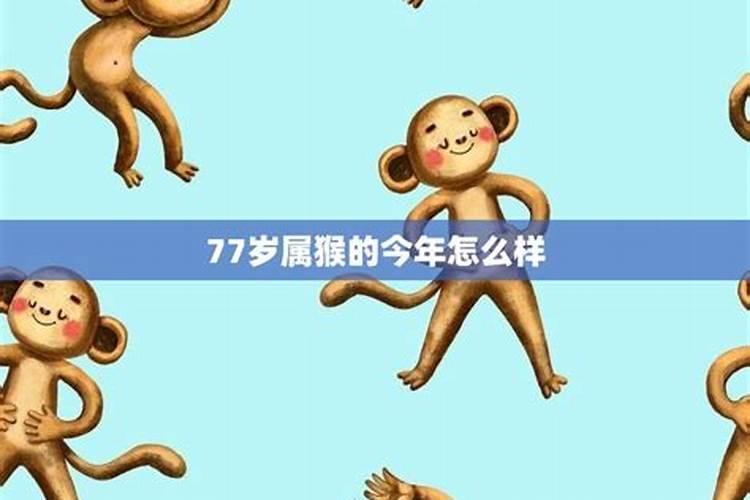 77岁生肖猴2023年运程