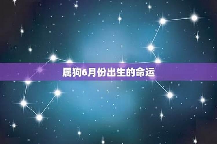 属虎的12月生日起什么名字好一些