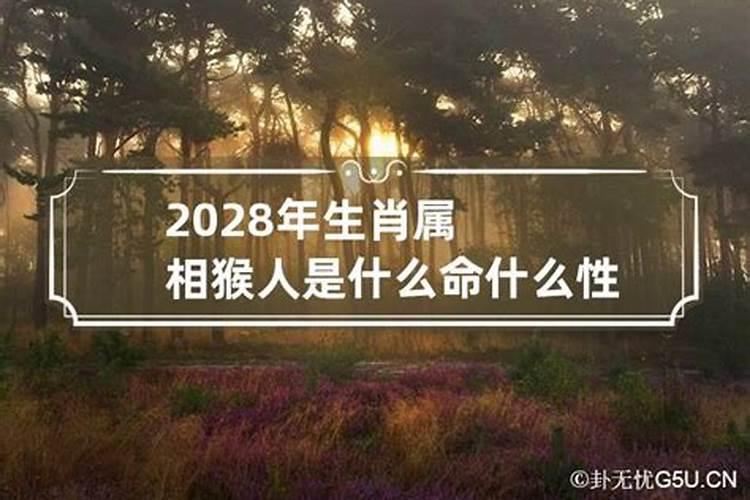 2027年属猴人的全年运势如何