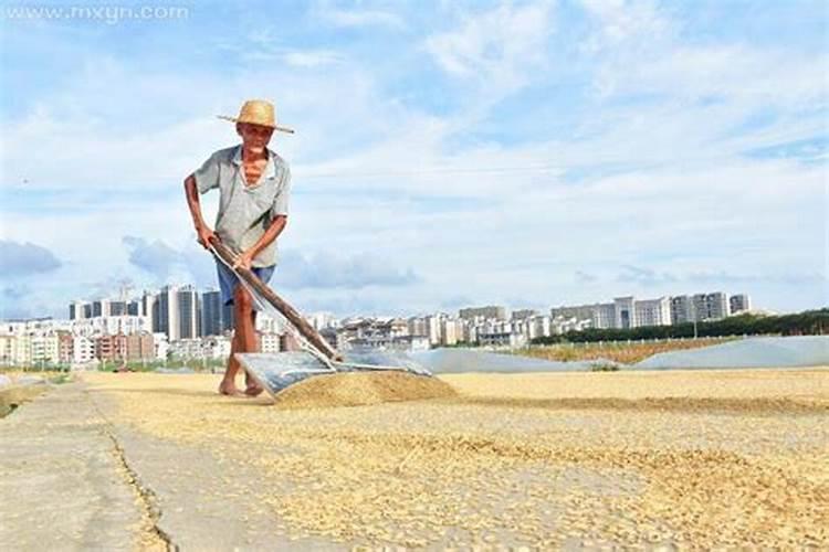 家庭文昌位干什么好