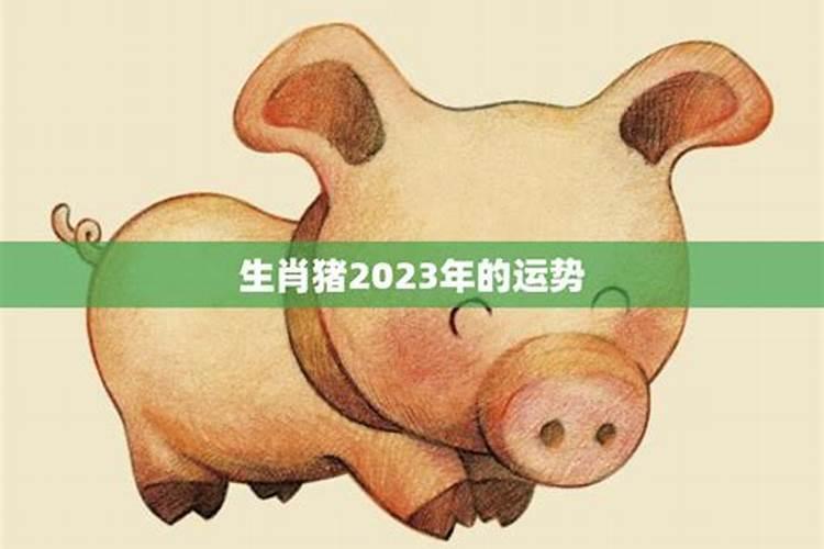 十二属相2023年运势