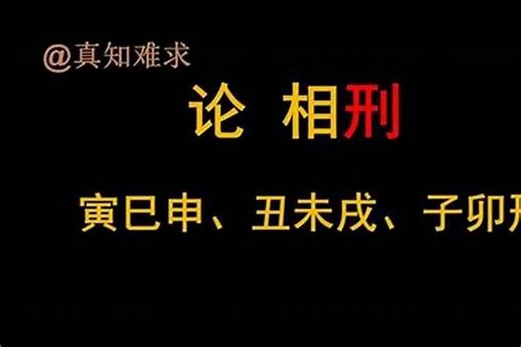 生肖相合相克相冲表