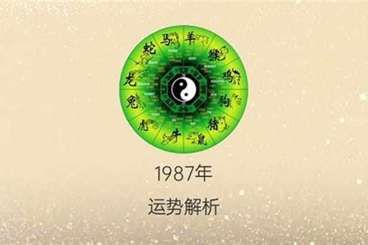 1987年阴历八月初三一生运势