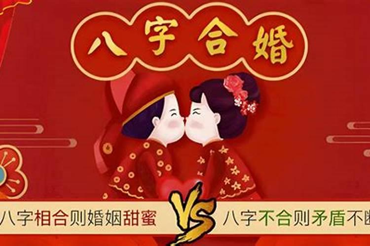 合婚无冲无合的有哪些