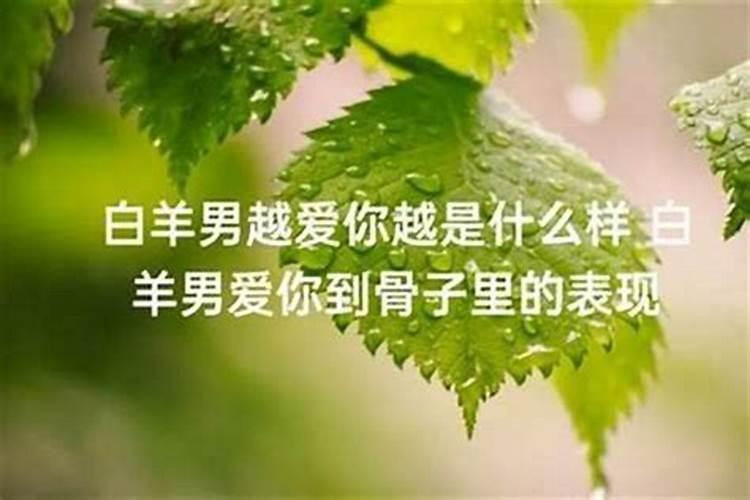 白羊男撩你代表什么