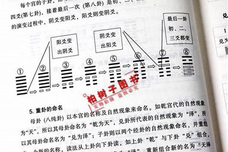 八字算兄弟姐妹个数和排行的几种方法