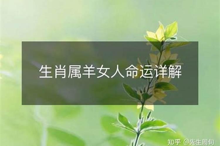 属羊女命运指数是多少