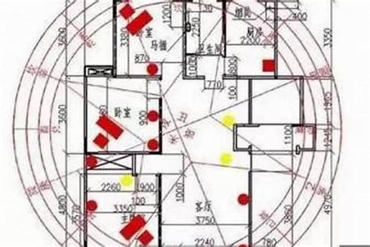 算命里说的六亲指的是哪六亲