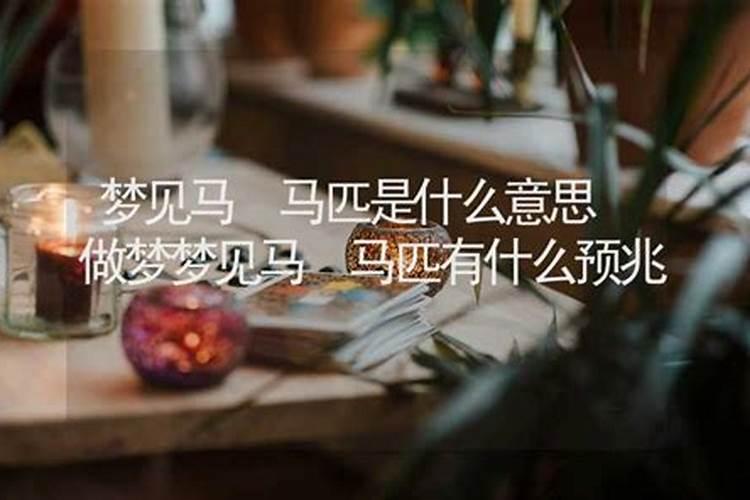 梦见放马是什么意思