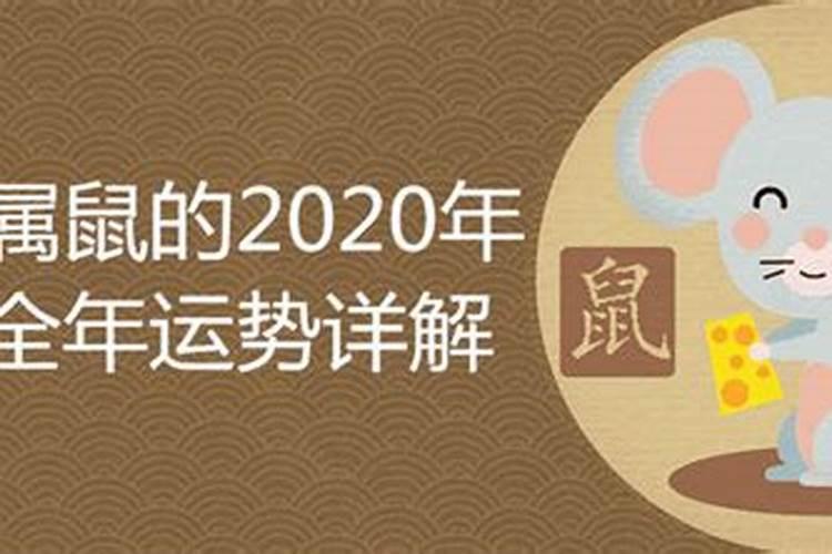 2021老鼠运势如何