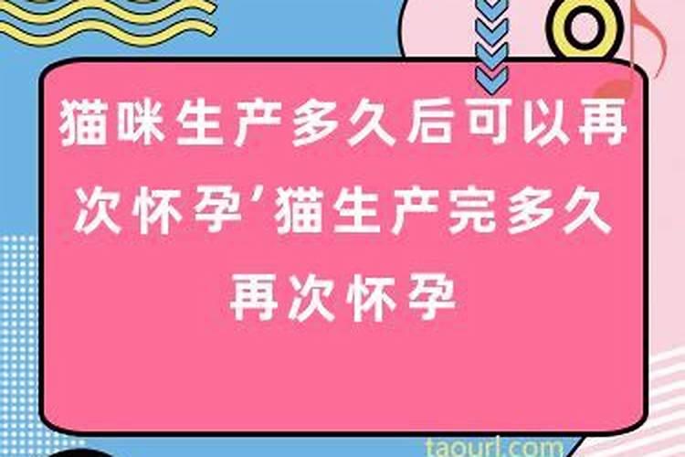 梦到怀孕生了孩子却变成猫了