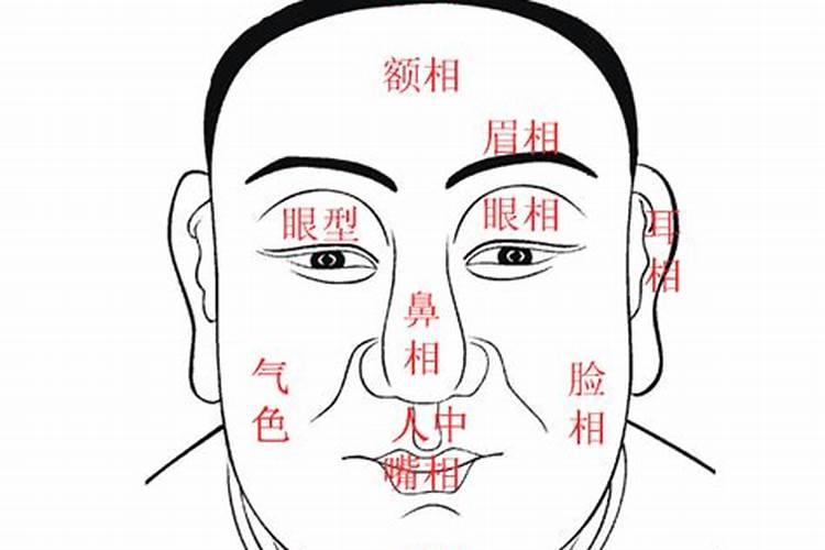 梦见车被车撞什么意思