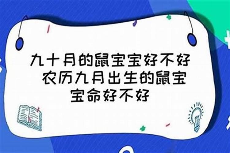 9月的鼠是什么命运