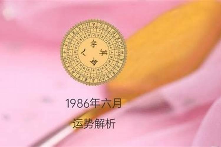 1986年农历6月出生人的命运