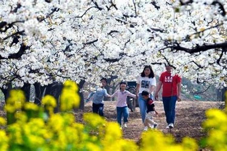 清明祭扫踏青标题