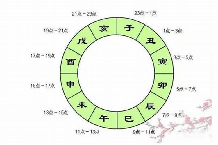 冬至的鸡晚上出生