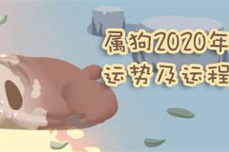 属狗12月运势2020年