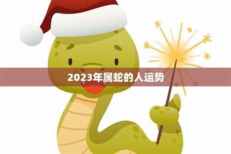 属蛇人运势2023年运势