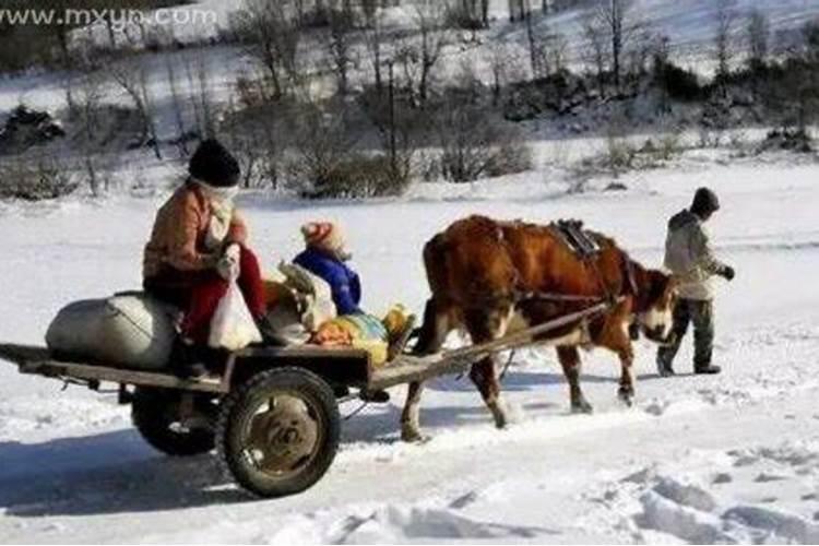 梦见亲戚死亡预示什么周公解梦