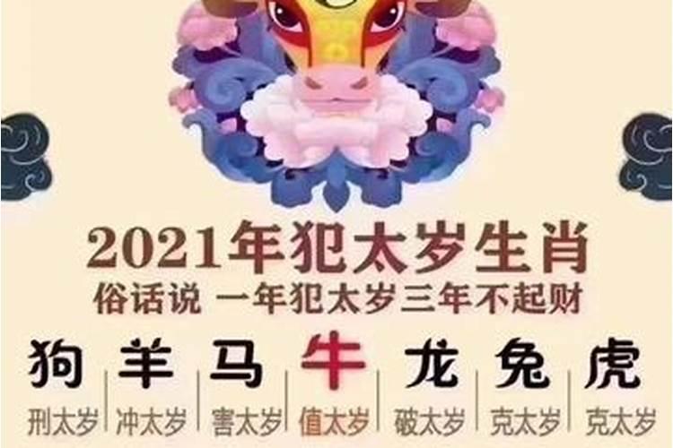 兔女今年运势如何