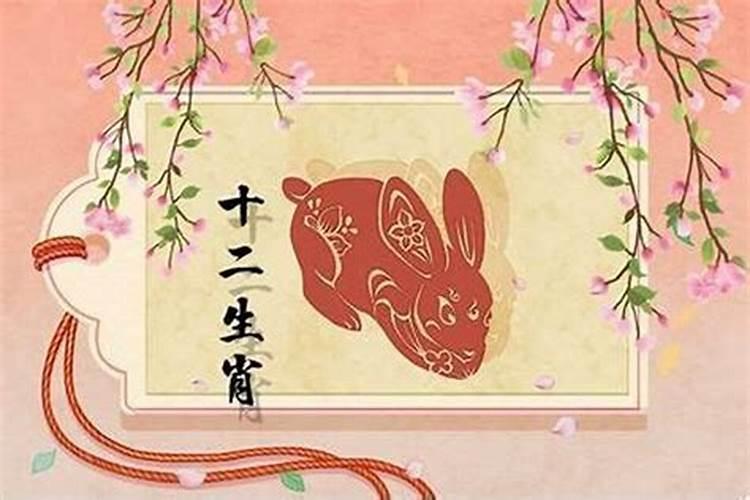 属兔女今年财运怎么样