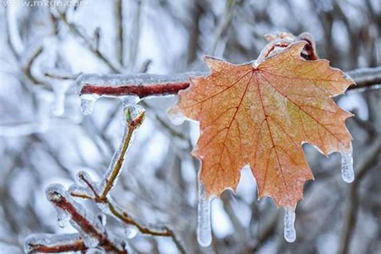 梦见大海边下雪结冰了