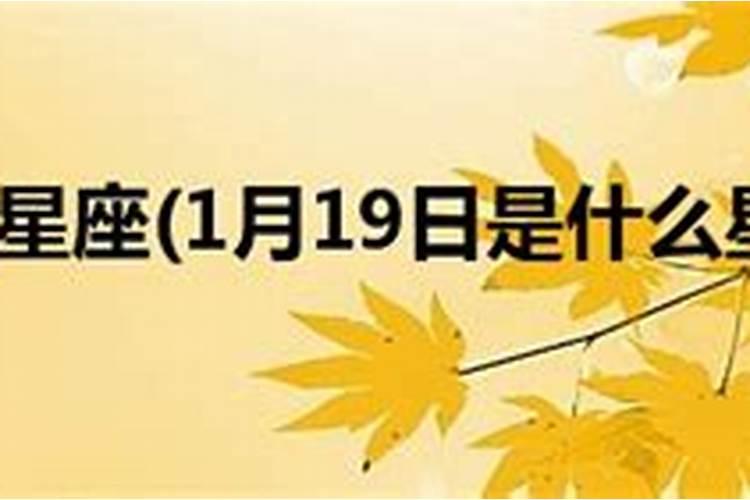 99年生肖兔2024年运势大全