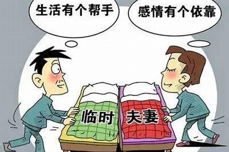 2023年运势十二生肖运程解析大全