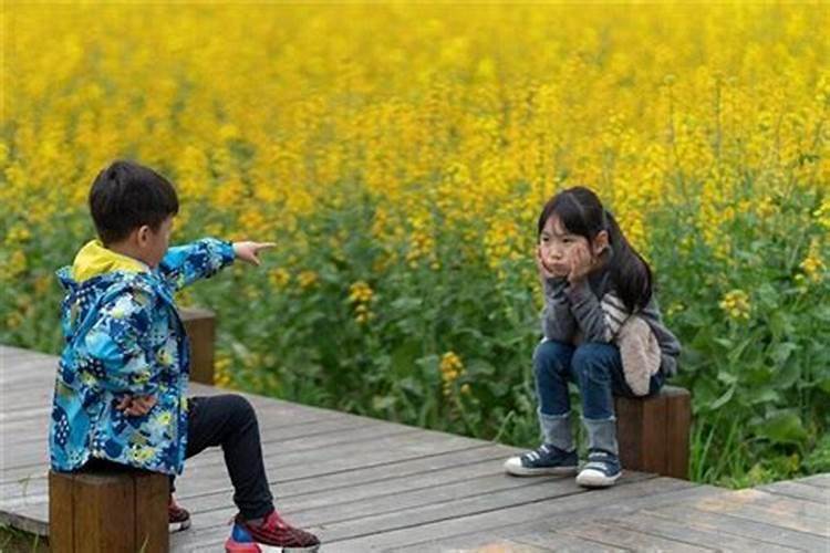 梦见吃饭时和陌生人打架