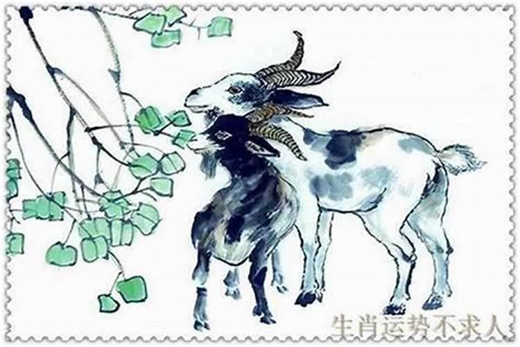 属羊阴历9月25日生是什么星座