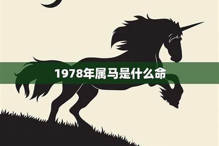 1978年出生属马整运势气