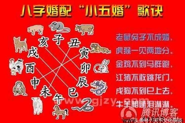 女属羊5月份出生的命运