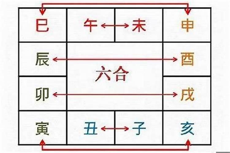 八字中戊跟什么合