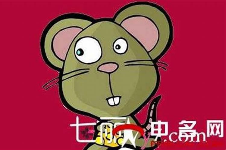 属鼠农历12月出生人的命运