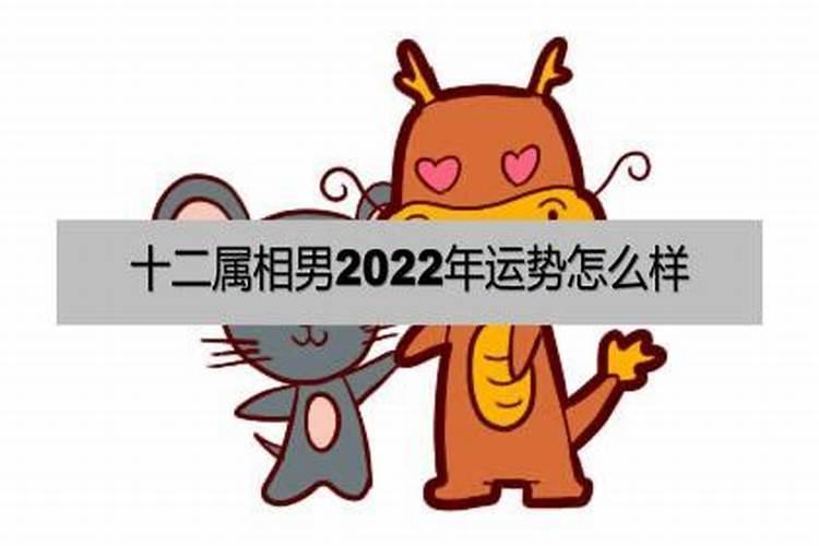 91年男2021运势