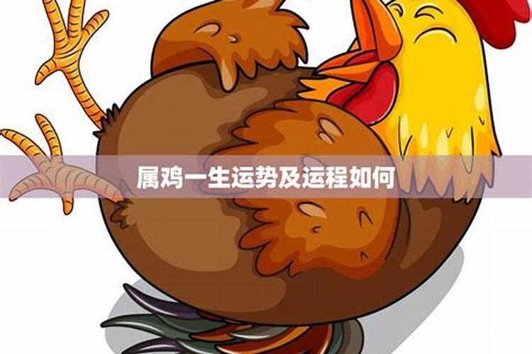 龙今年犯太岁吗2021