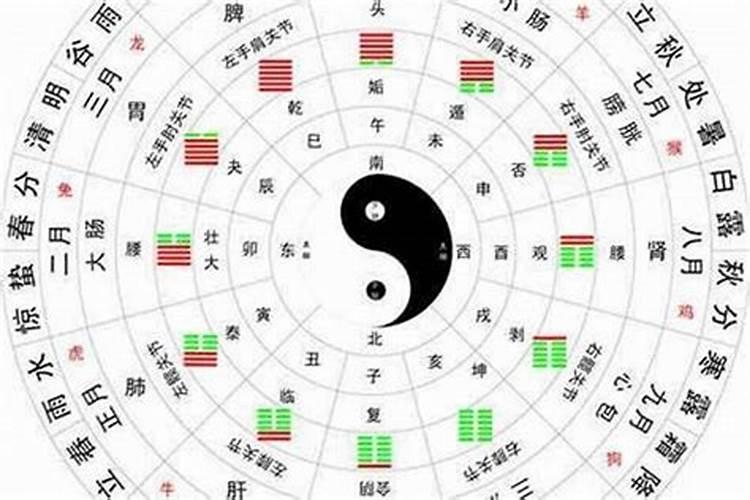 日主五行看天干还是地支