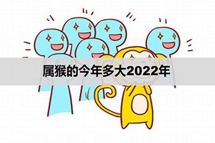 属猴人在2022年高考能不能有好运