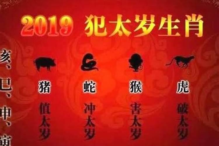 属蛇今年是冲太岁吗