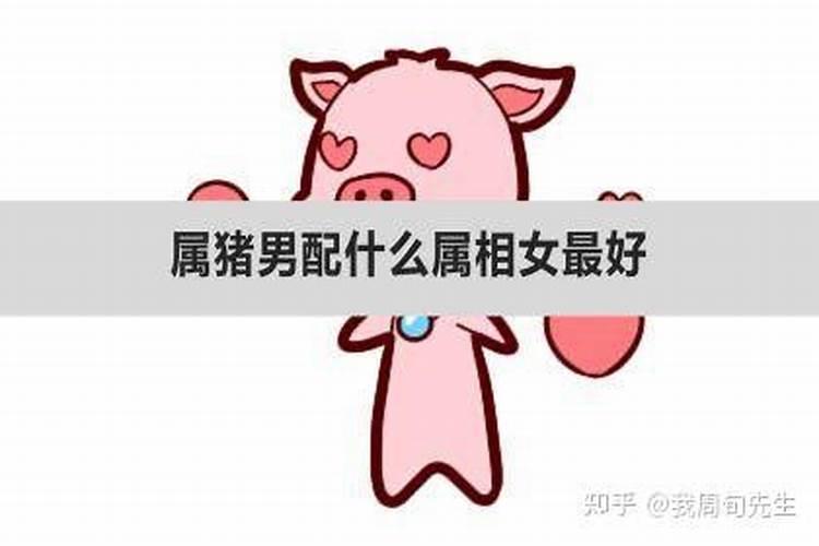 七月猪与什么属相婚配