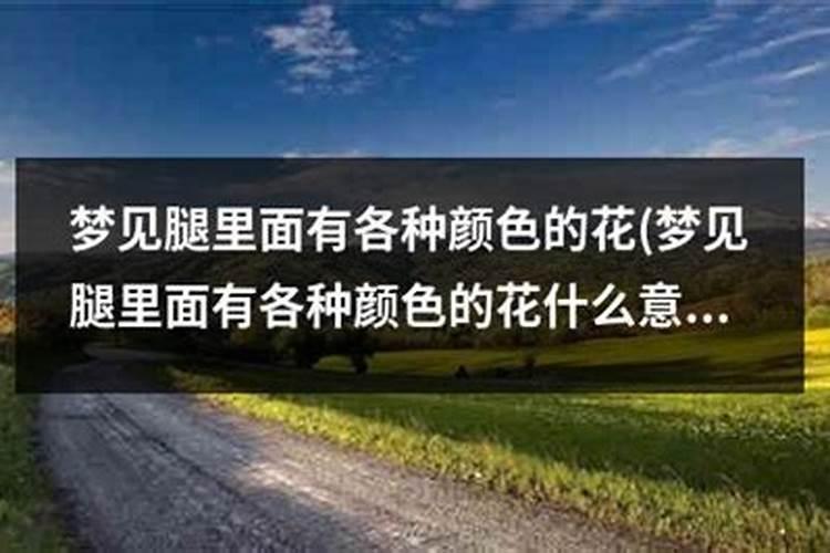 梦见老树是什么意思周公解梦