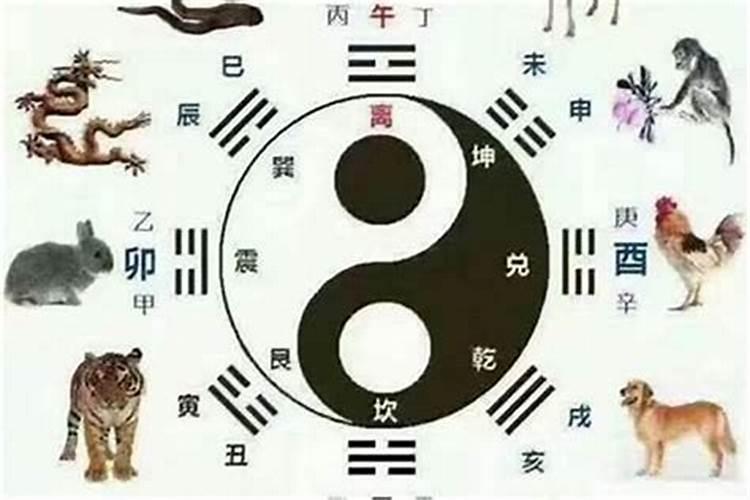 77年一月属什么