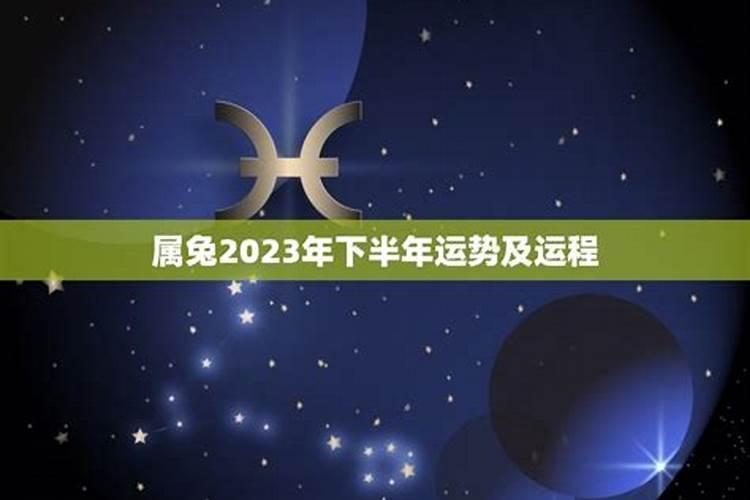 2023年属兔下半年感情运势如何