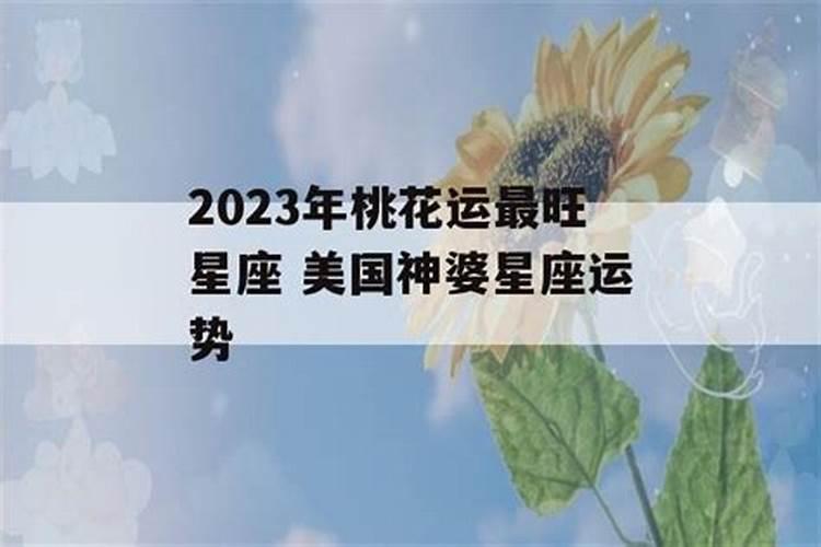 2023年桃花运